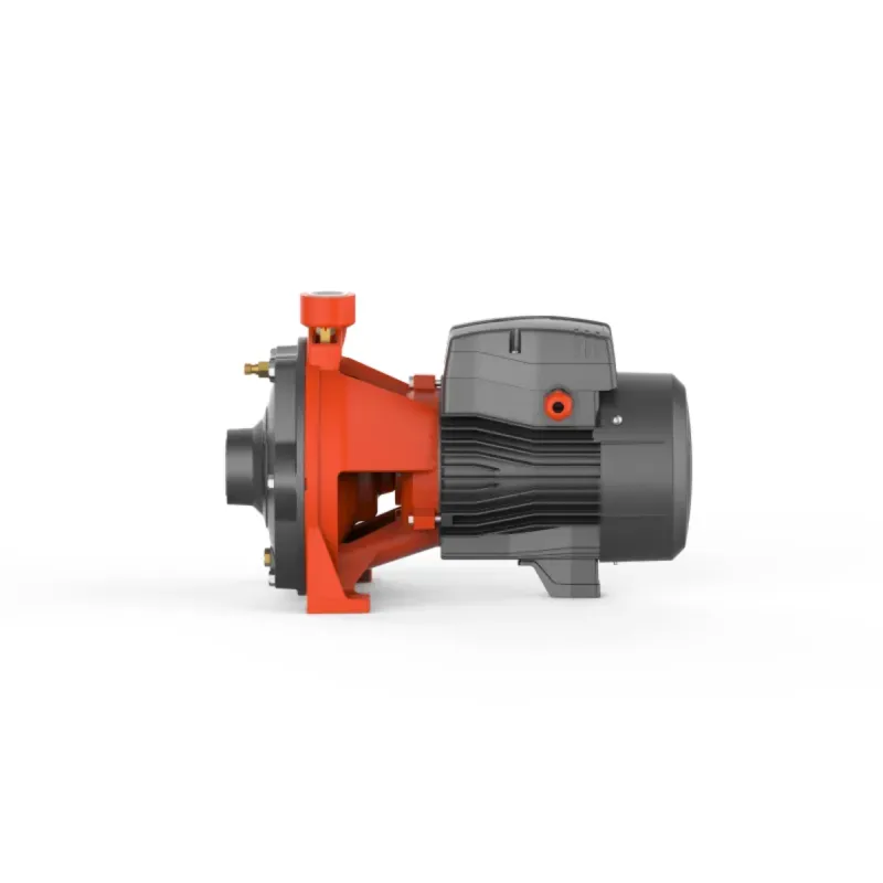 Bomba Centrifuga LEO 2ACm150